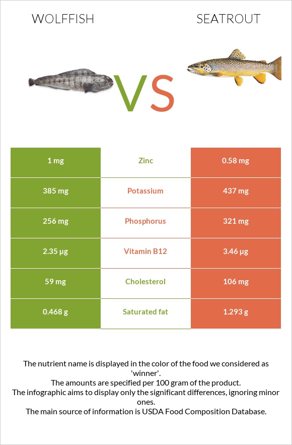 Wolffish vs Seatrout infographic