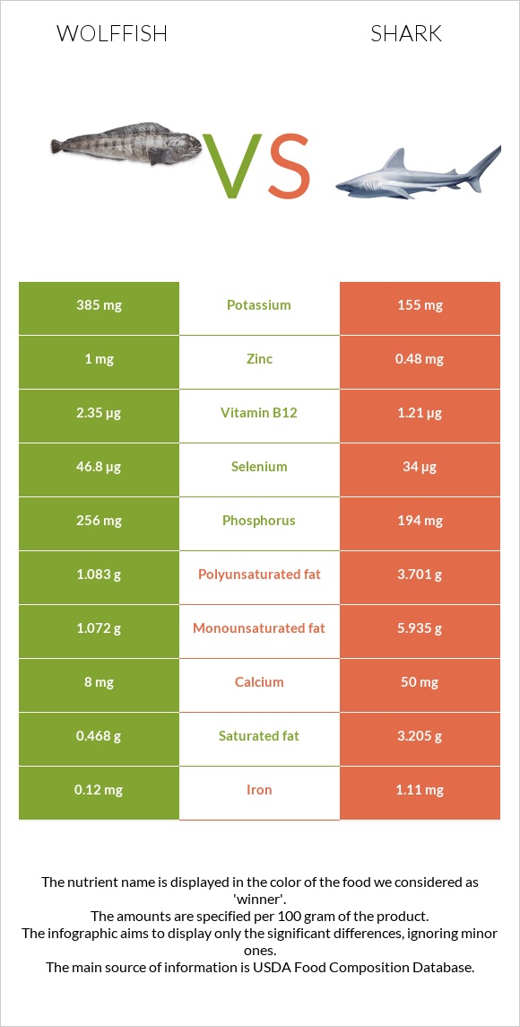 Wolffish vs Շնաձկներ infographic