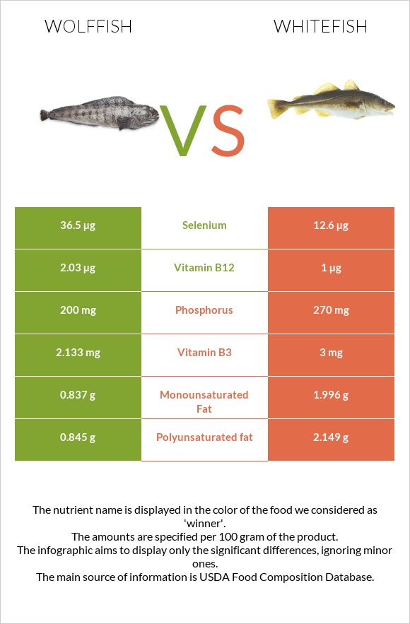 Wolffish vs Whitefish infographic