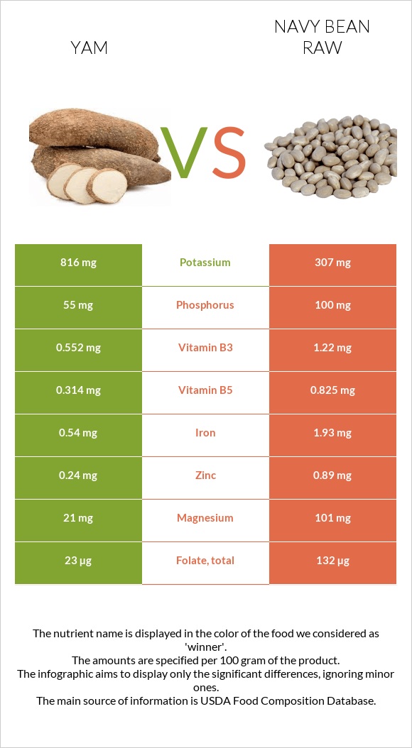 Yam vs Navy bean raw infographic