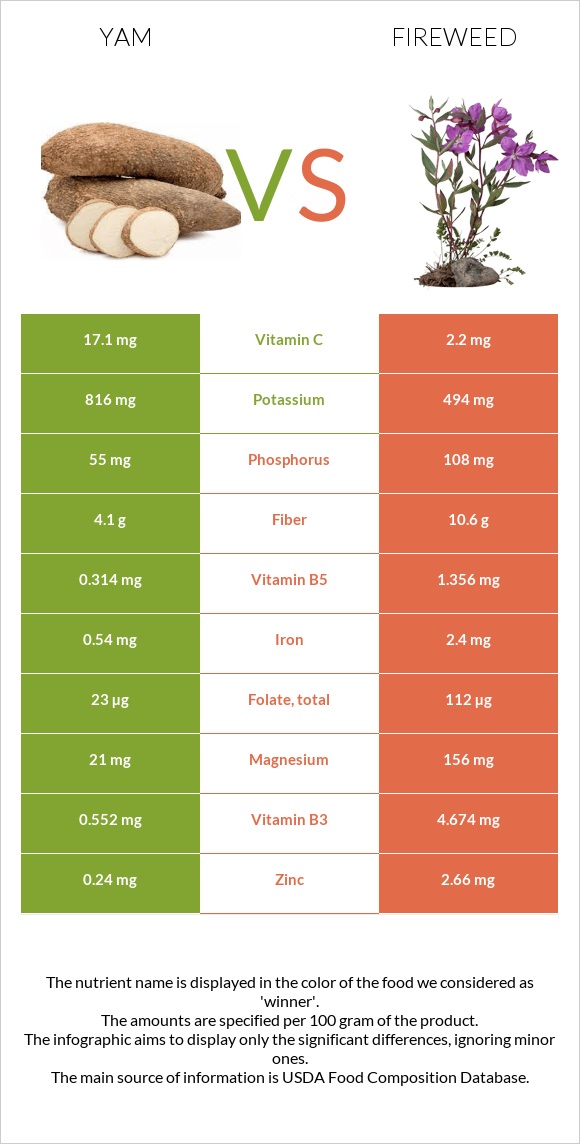 Yam vs Fireweed infographic