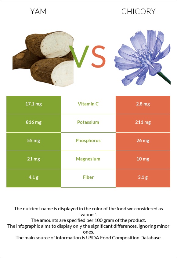Yam vs Chicory infographic