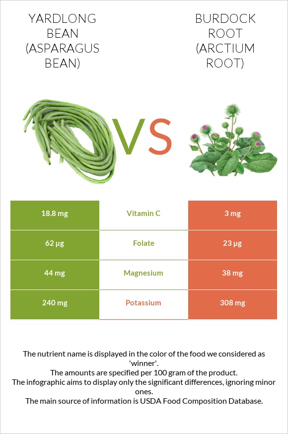 Yardlong bean (Asparagus bean) vs Burdock root infographic