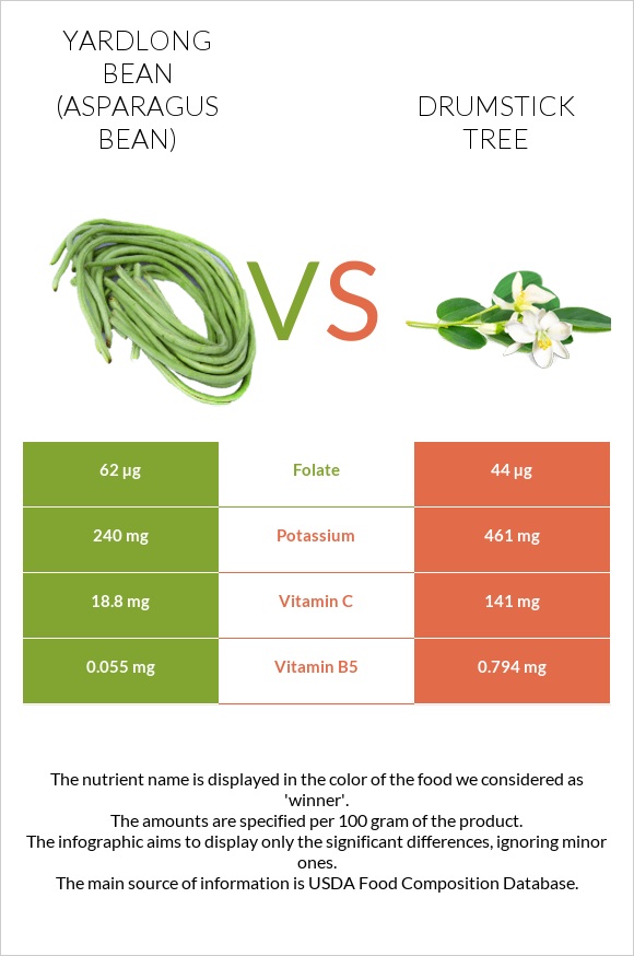 Yardlong bean (Asparagus bean) vs Drumstick tree infographic