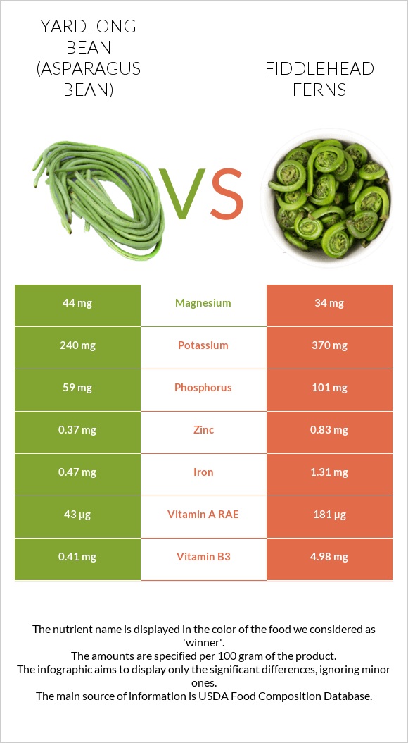 Yardlong bean (Asparagus bean) vs Fiddlehead ferns infographic