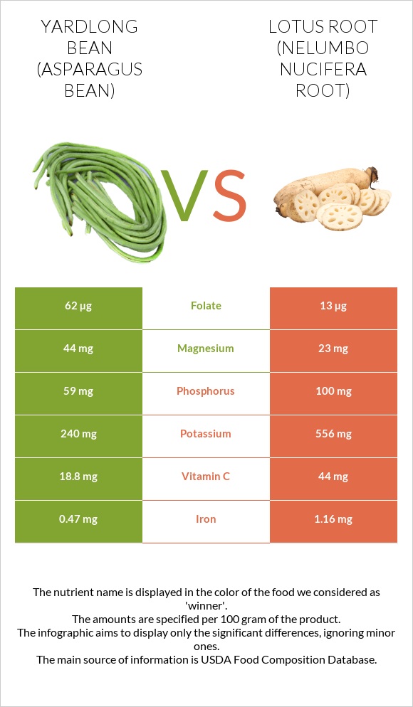 Yardlong bean (Asparagus bean) vs Lotus root infographic