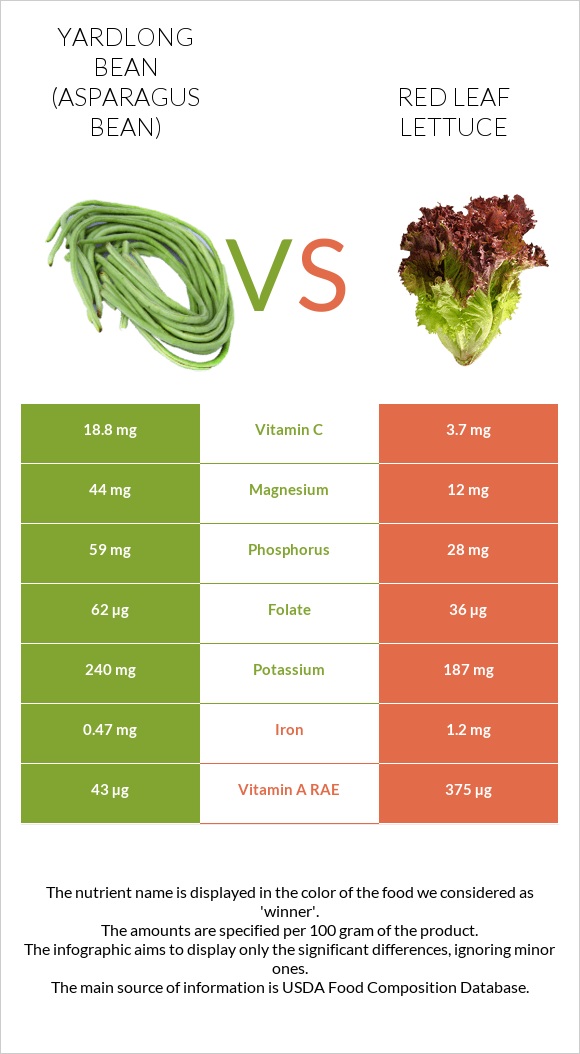 Ծնեբեկ լոբի vs Red leaf lettuce infographic