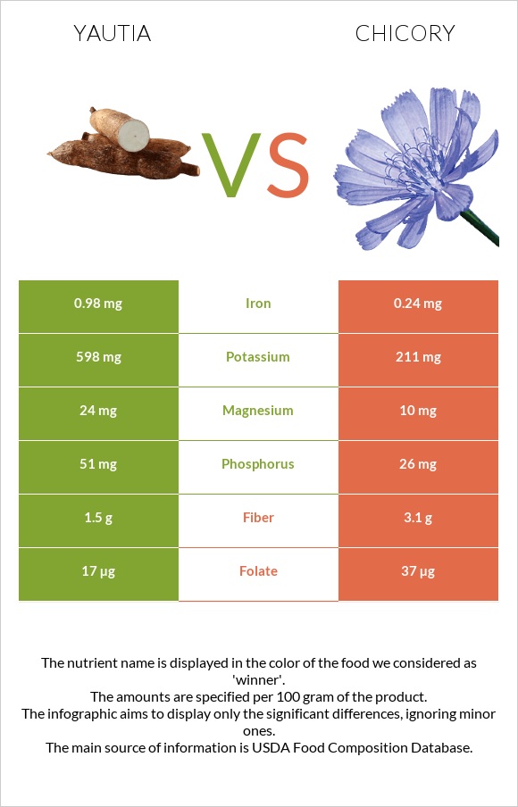 Yautia vs Chicory infographic