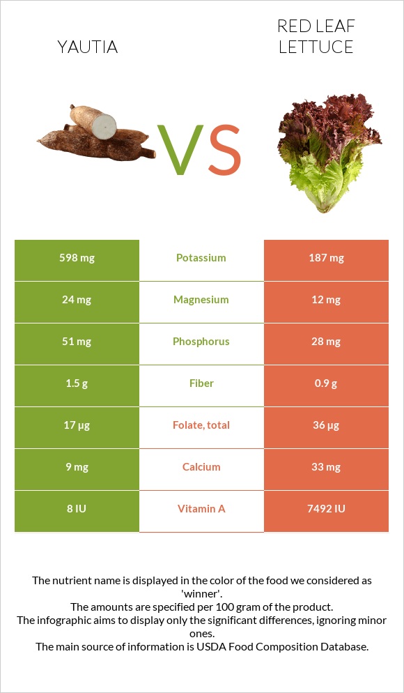 Yautia vs Red leaf lettuce infographic