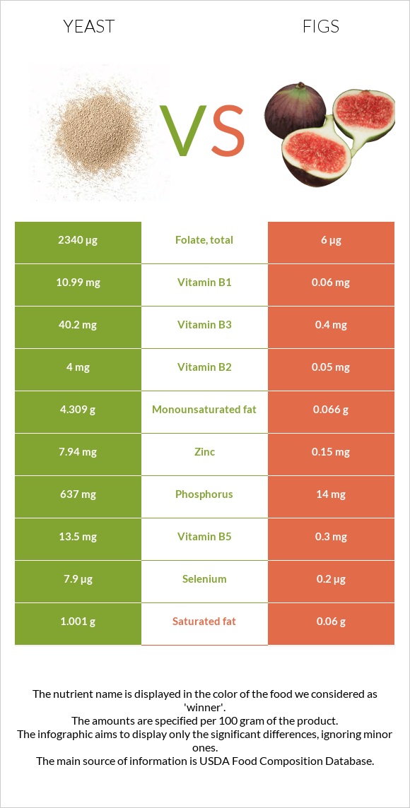 Խմորասնկեր vs Թուզ infographic