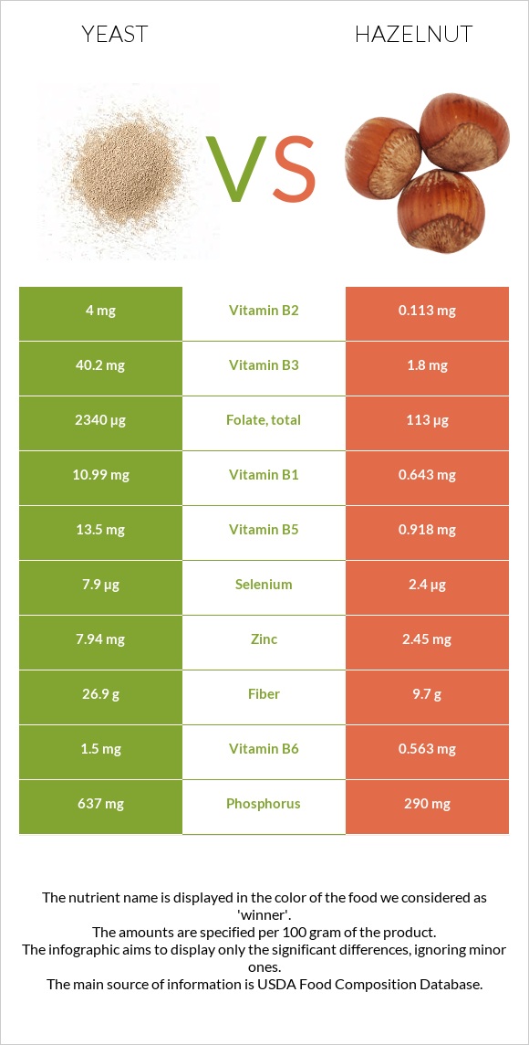 Yeast vs Hazelnut infographic