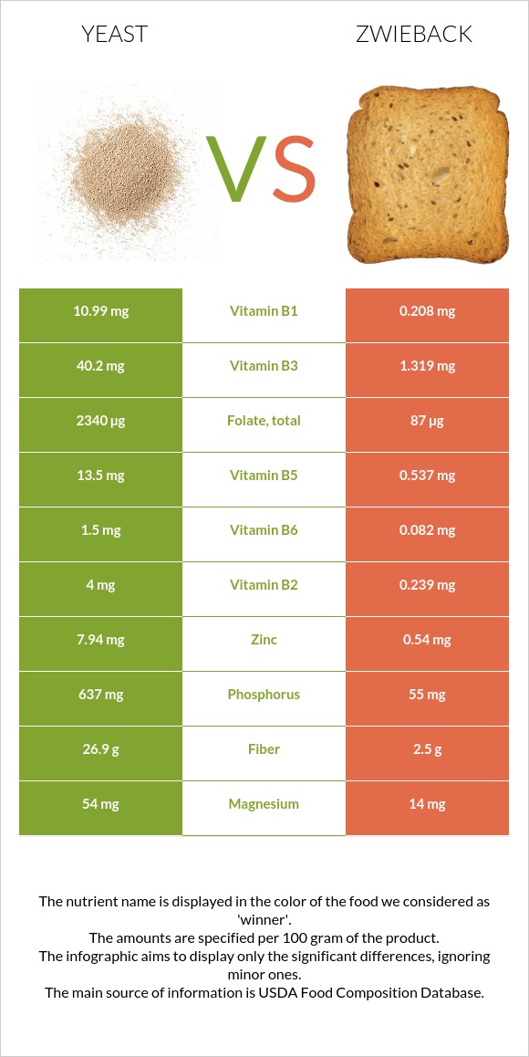 Խմորասնկեր vs Ձվիբեք infographic