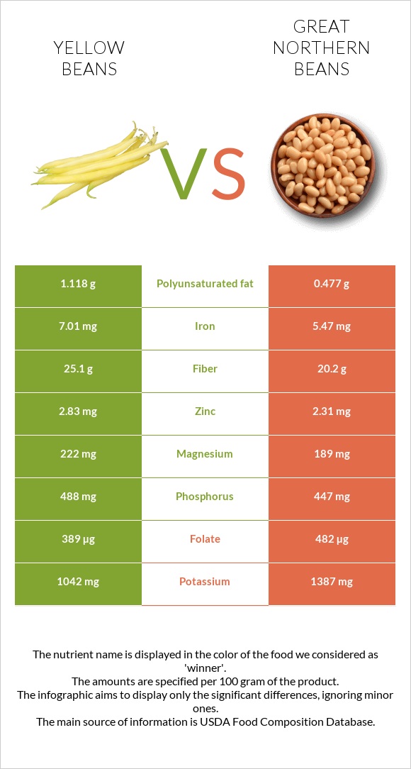 Yellow beans vs Great northern beans infographic