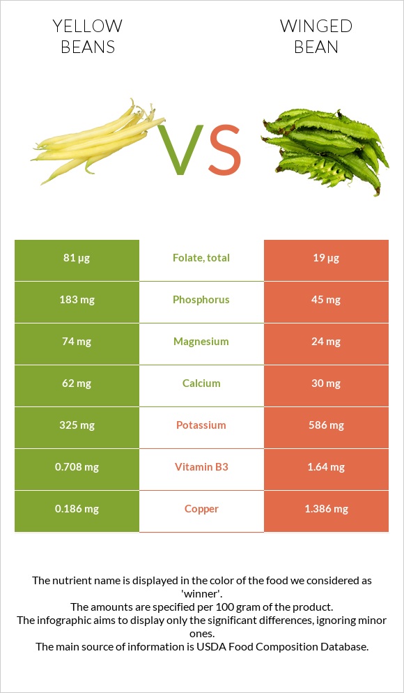 Yellow beans vs Winged bean infographic
