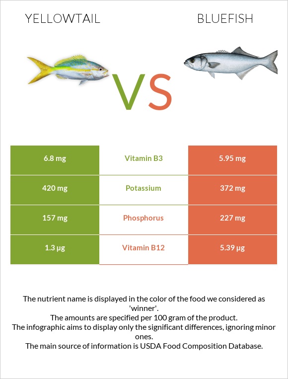 Yellowtail vs Bluefish infographic