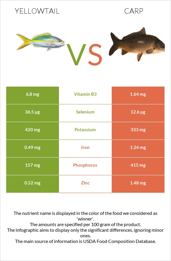 Yellowtail vs Carp infographic