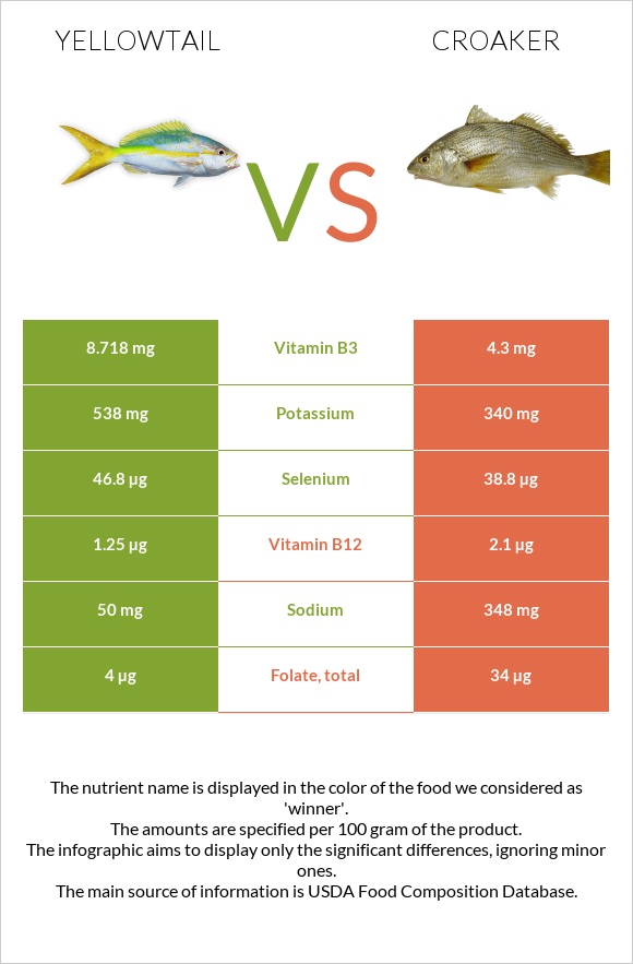 Yellowtail vs Croaker infographic