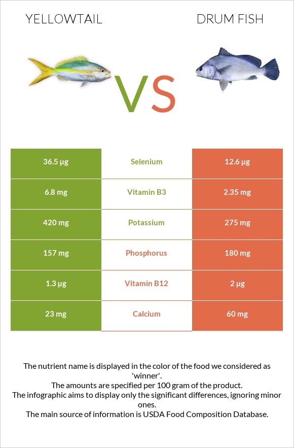 Yellowtail vs Drum fish infographic