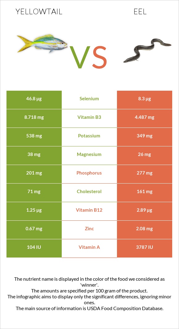 Yellowtail vs Eel infographic