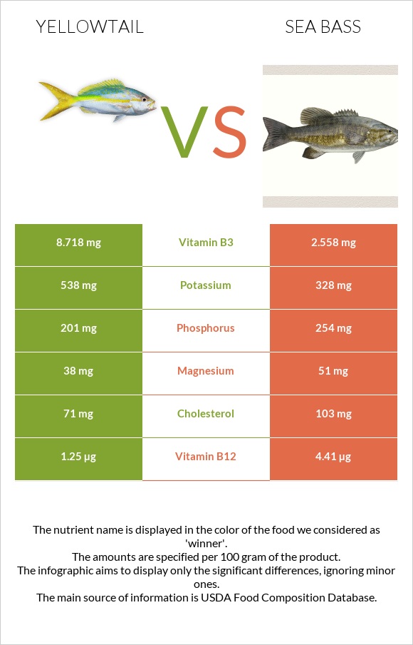 Yellowtail vs Bass infographic