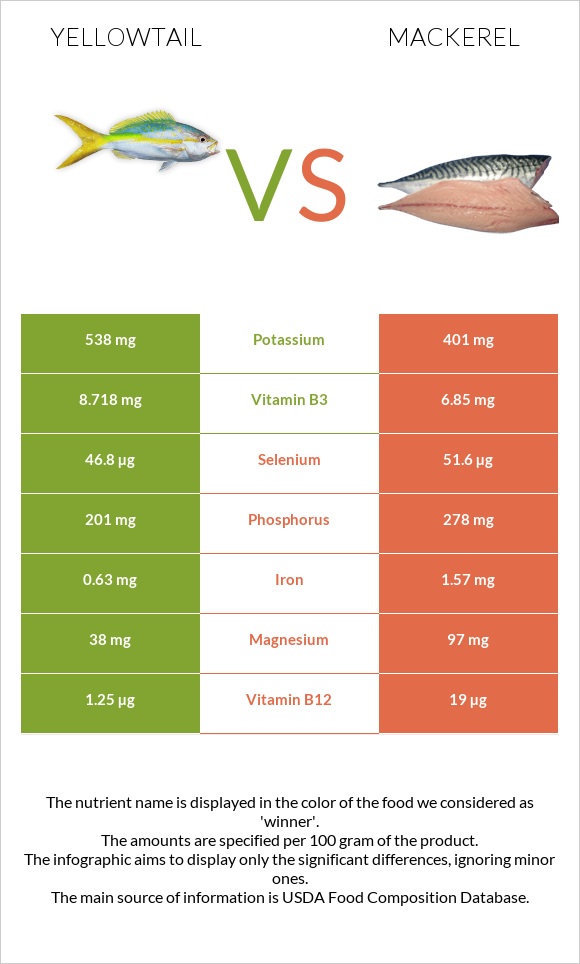 Yellowtail vs Mackerel infographic