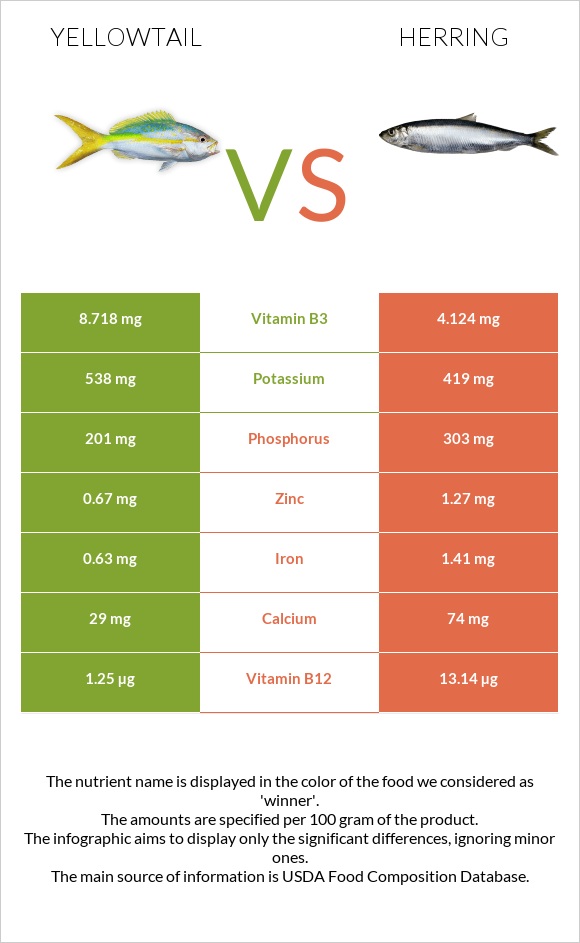 Yellowtail vs Herring infographic