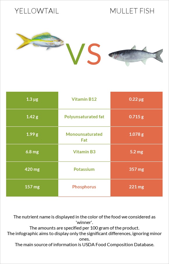 Yellowtail vs Mullet fish infographic