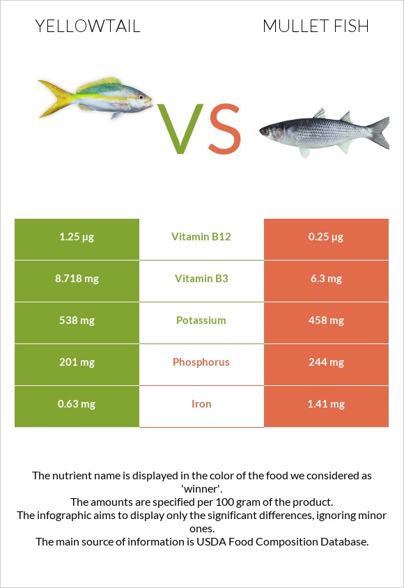 Yellowtail vs Mullet fish infographic