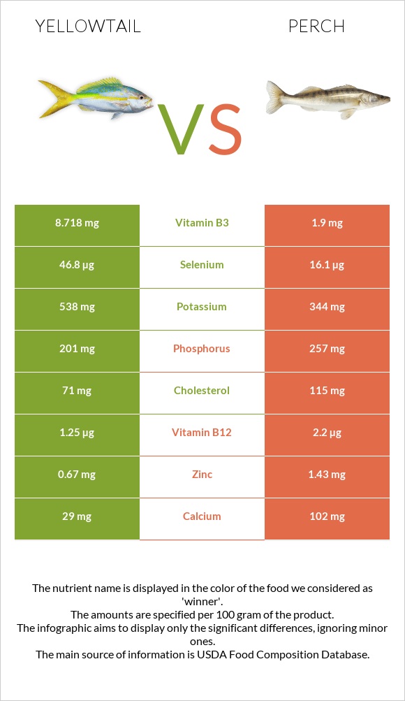 Yellowtail vs Perch infographic