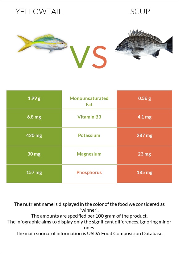 Yellowtail vs Scup infographic