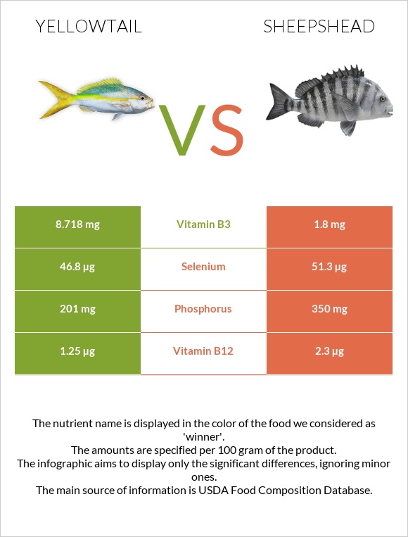 Yellowtail vs Sheepshead infographic