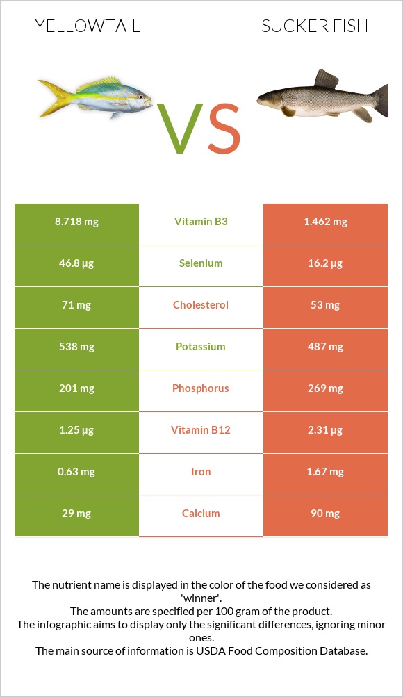 Yellowtail vs Sucker fish infographic