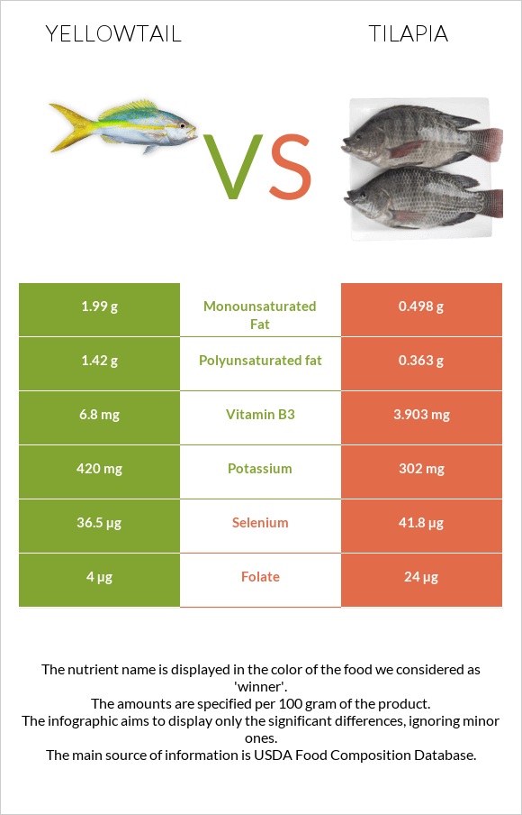 Yellowtail vs Tilapia infographic