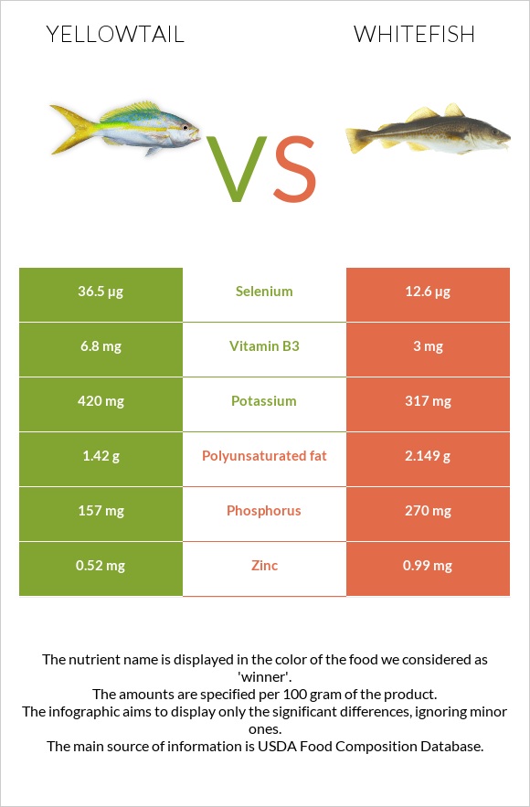 Yellowtail vs Whitefish infographic