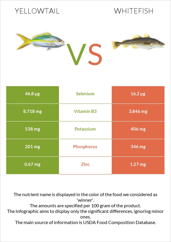 Yellowtail vs Whitefish infographic