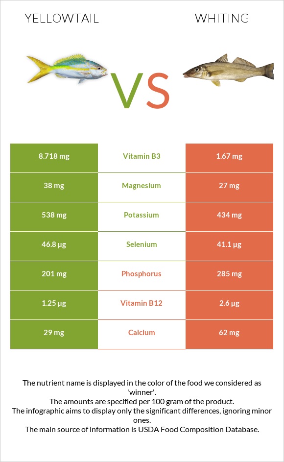 Yellowtail vs Whiting infographic