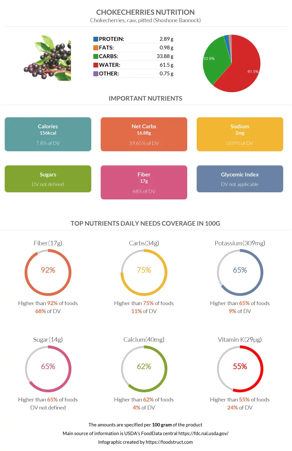 Chokecherries nutrition infographic