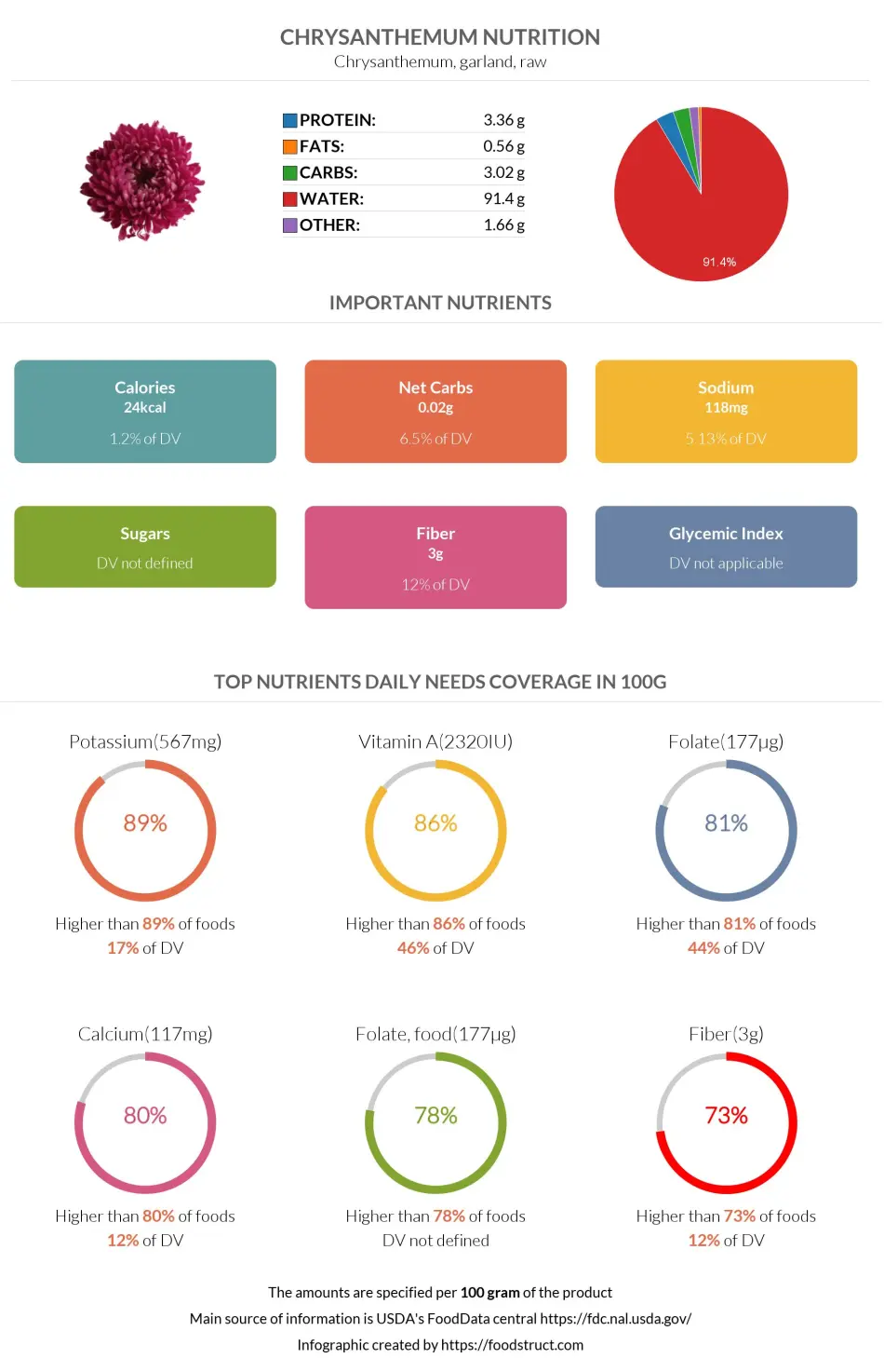 Chrysanthemum nutrition infographic