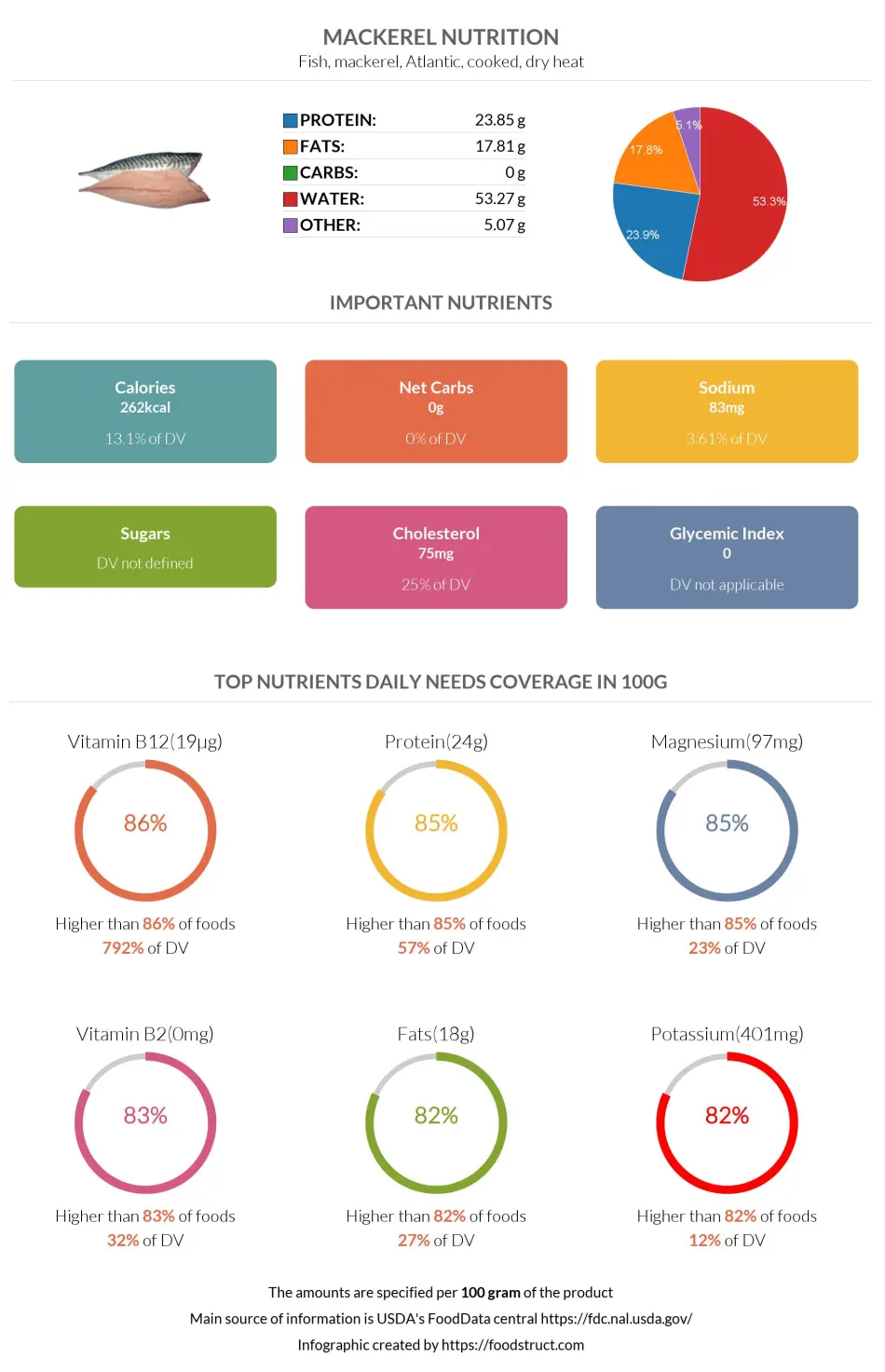 Mackerel nutrition infographic