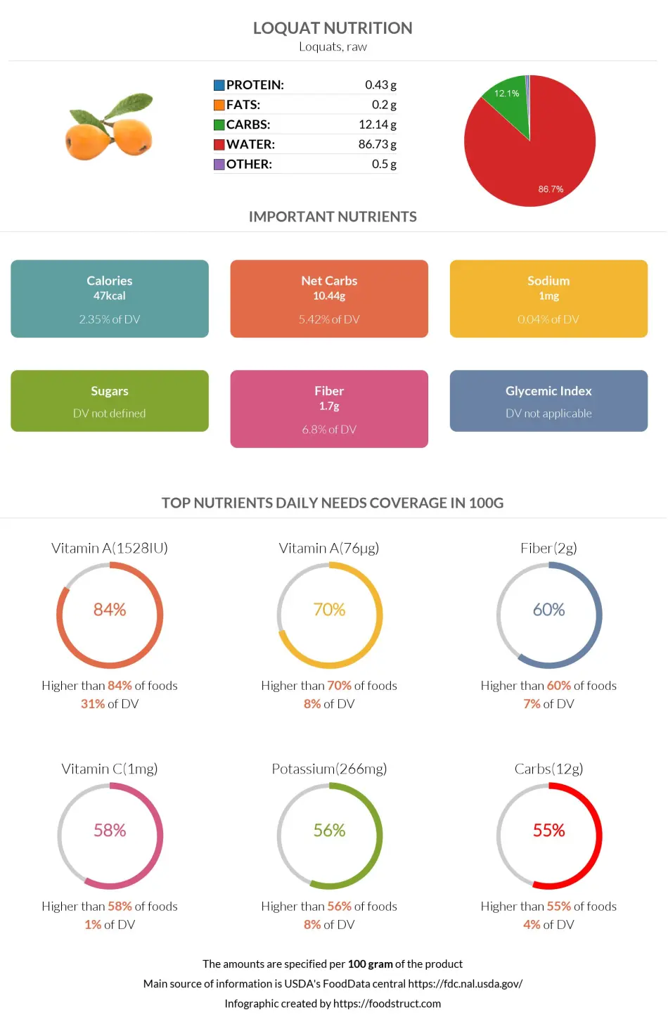 Loquat nutrition infographic