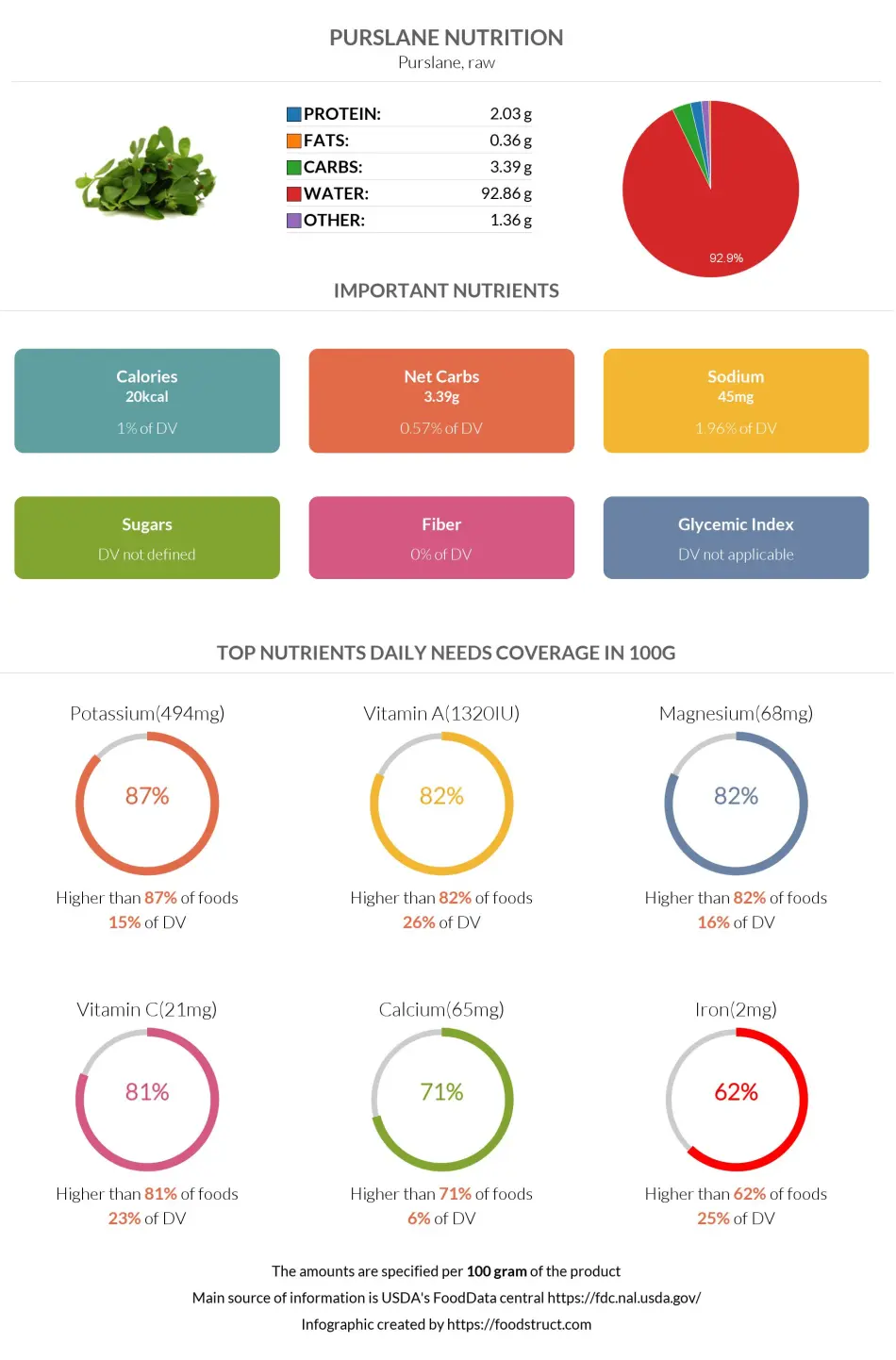 Purslane nutrition infographic