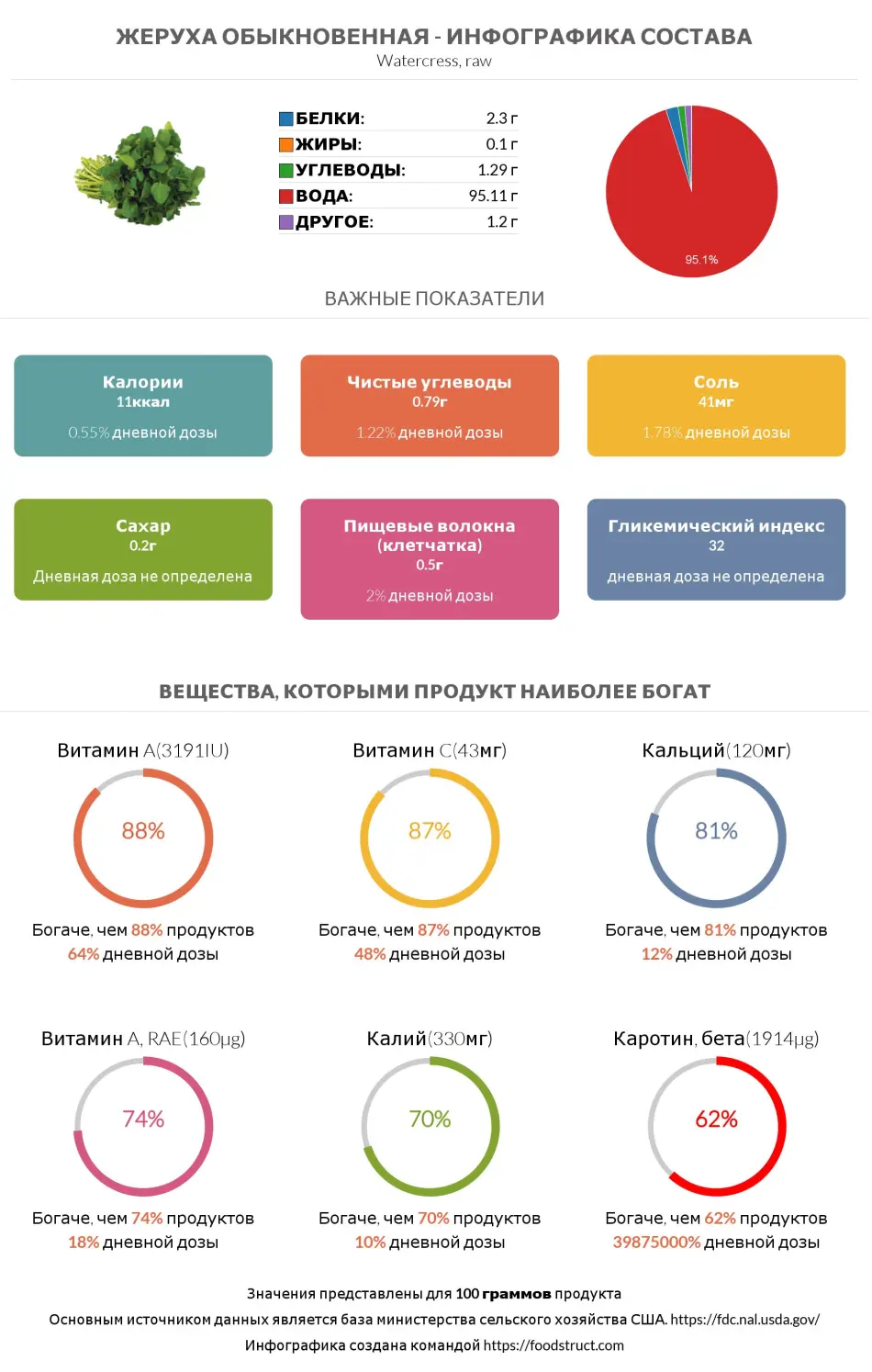 Инфографика состава и питательности для продукта Жеруха обыкновенная