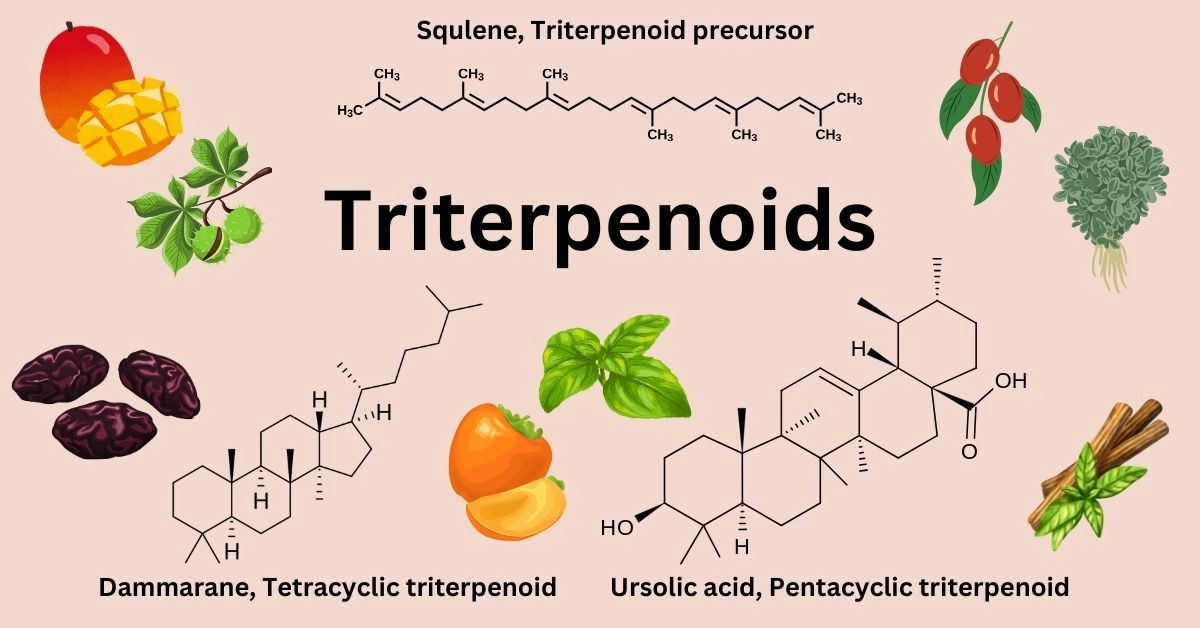 Triterpenoids — Structure, Food Sources, Benefits, and Side Effects