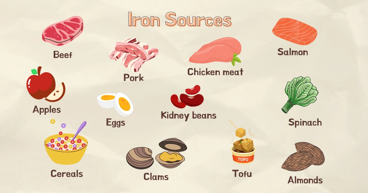 Iron Health Benefits, Nutrition Sources, Deficiency Symptoms