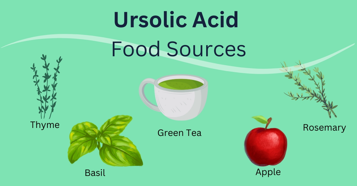 Ursolic Acid Food Sources,