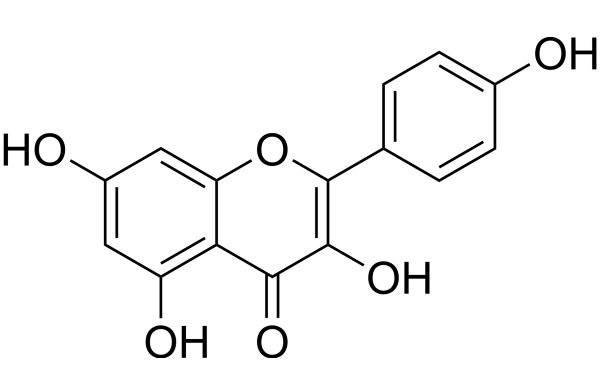 Kaempferol structure