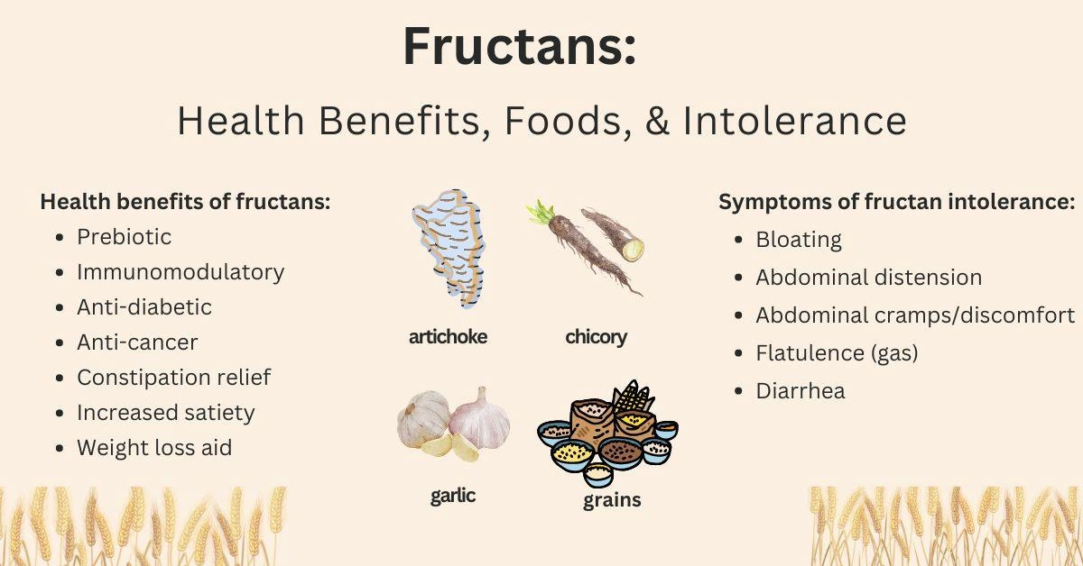 fructan health benefits, food sources and intolerance