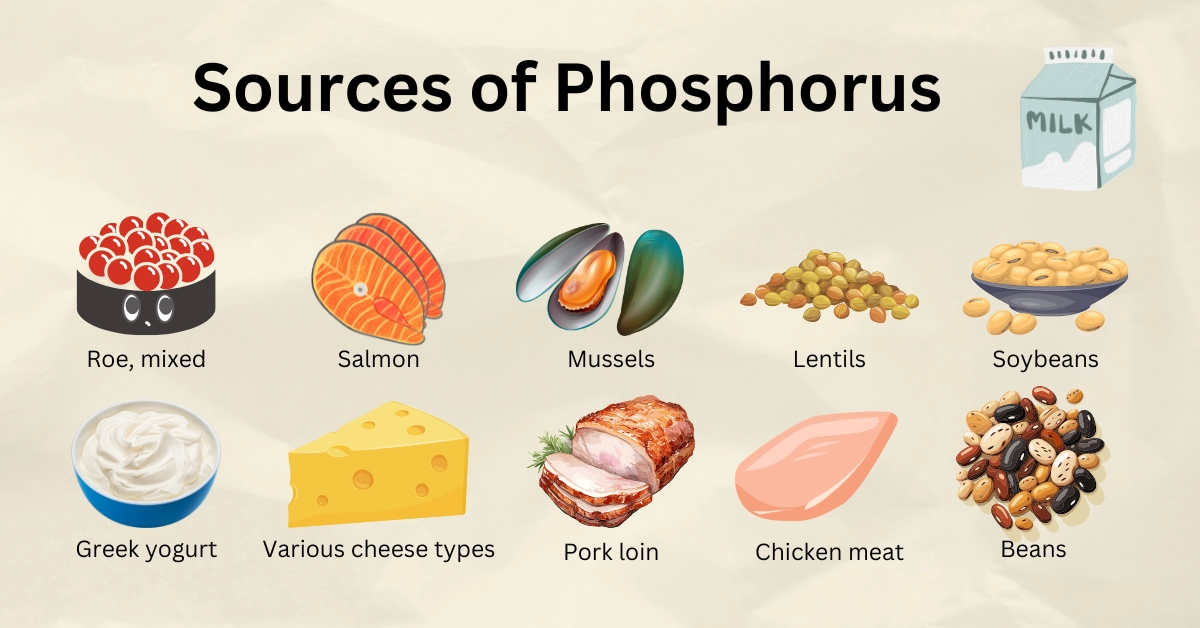 Phosphorus Rich foods, Deficiency, Recommended Intakes, and Benefits