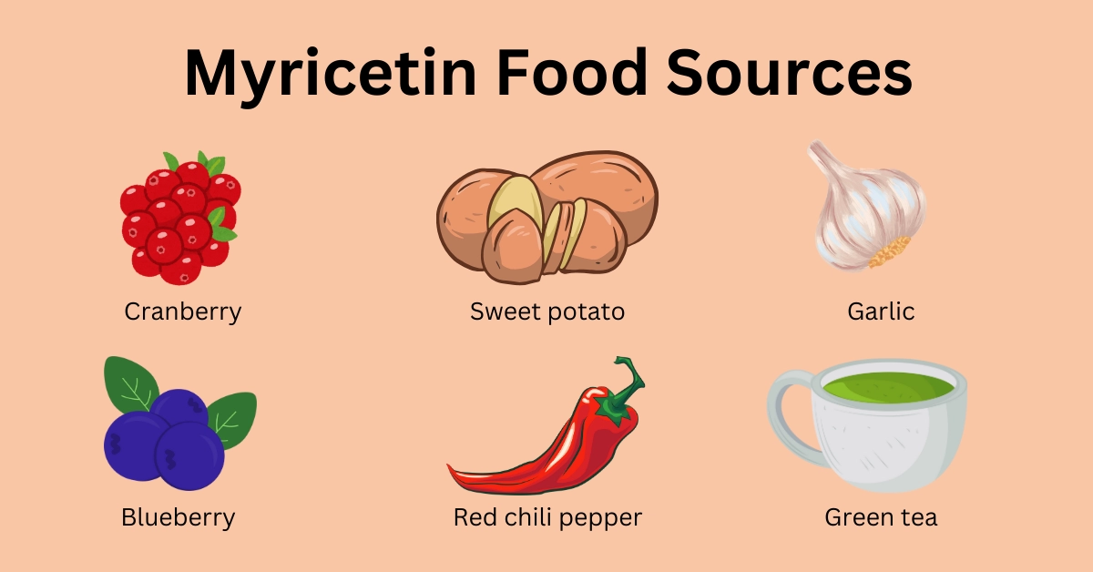 Myricetin — Health Benefits, Supplements, Foods, and Structure