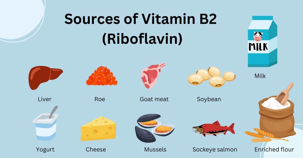 Vitamin B2 (Riboflavin) - Food Sources, Benefits, and Deficiency